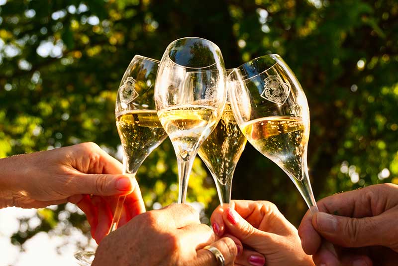 festa-di-laurea-a-catania-2